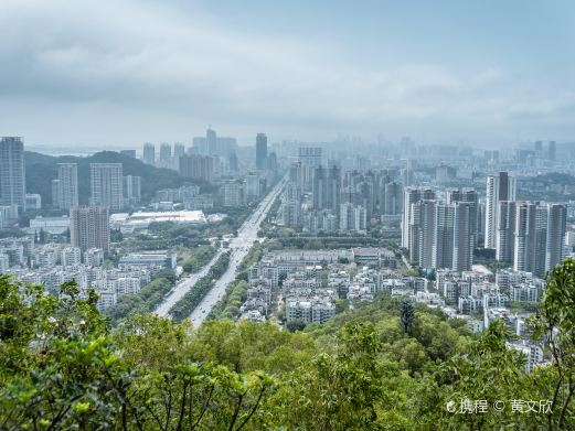 板樟山森林公园