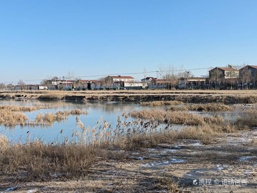 马营湿地