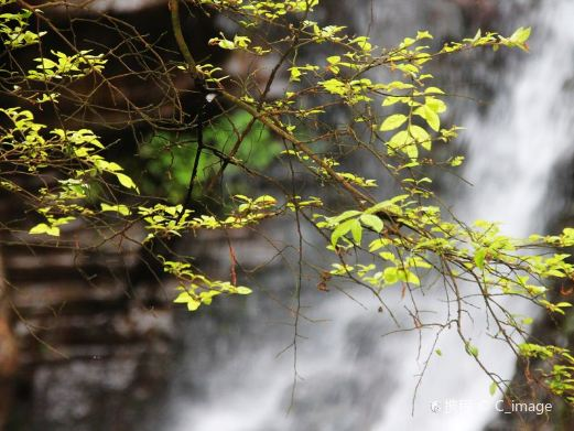 桂林红溪大峡谷