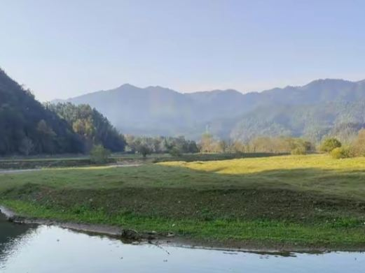 白鹭湖国家森林公园