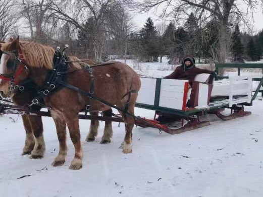 中央公园冰雪欢乐王国