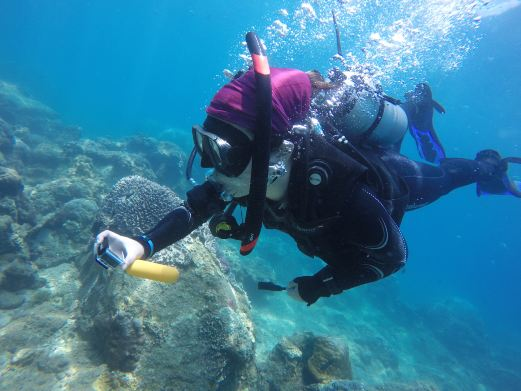 亚龙湾爱琴海PADI潜水度假村