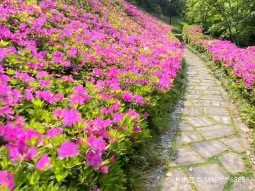 温岭市植物园