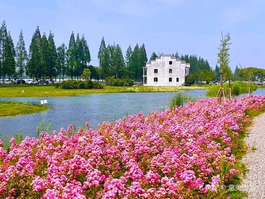 大圩生态农业旅游景区