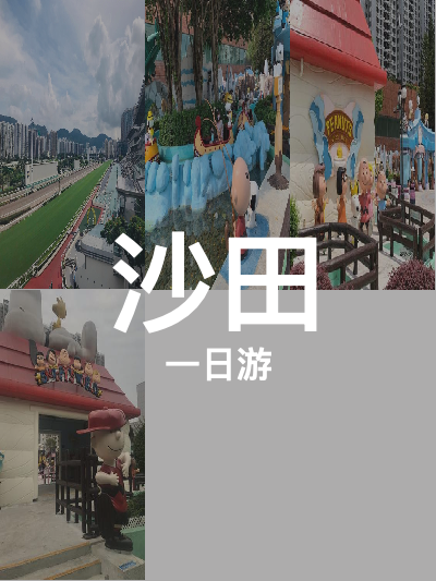 总览:一日畅游沙田：马术盛宴与童趣乐园之旅