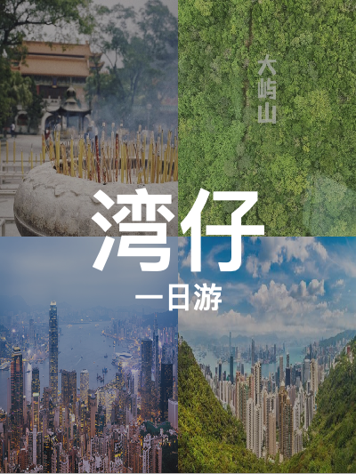 总览:“一日尽览港岛之巅：大屿山至太平山顶缆车之旅”