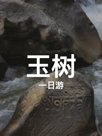 总览:玉树一日精华游：探寻岩画秘境，漫步湿地与圣湖