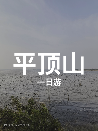 总览:平顶山一日游：佛光禅意与自然湿地之旅