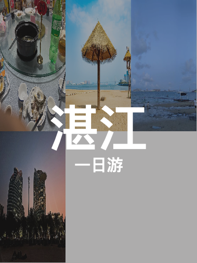 总览:湛江一日游：红嘴鸥与渔港的浪漫邂逅