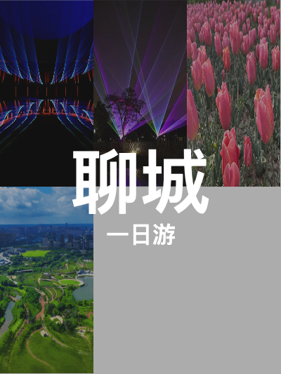 总览:聊城一日游：梨园探秘与森林漫步