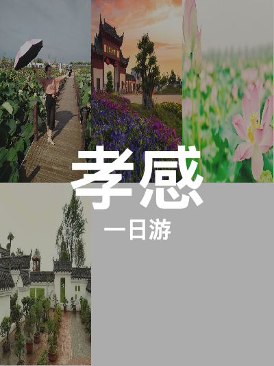 总览:孝感一日游：生态文化之旅，尽享湖光山色与花海风情