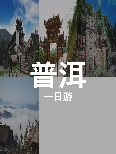 总览:普洱一日游：森林茶韵之旅