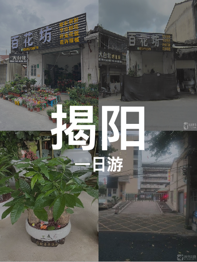 总览:揭阳一日游：玉桥花坊探秘行