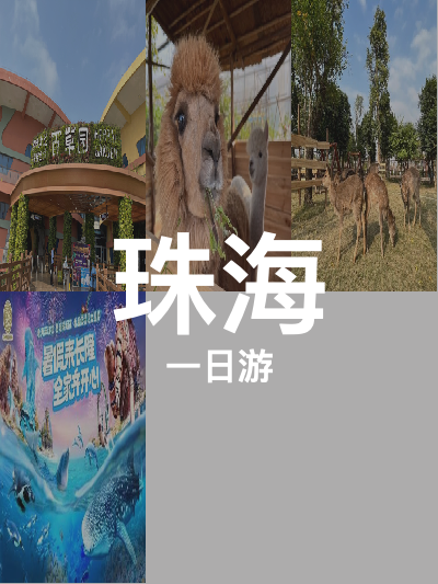 总览:珠海一日游：横琴探秘与海洋奇幻之旅