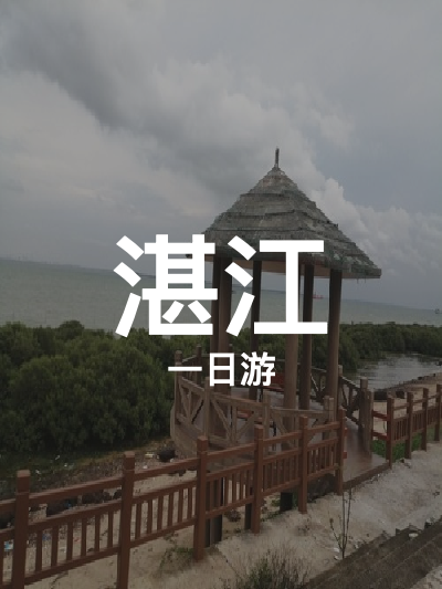 总览:湛江一日游：湖光岩与红树林的奇妙之旅