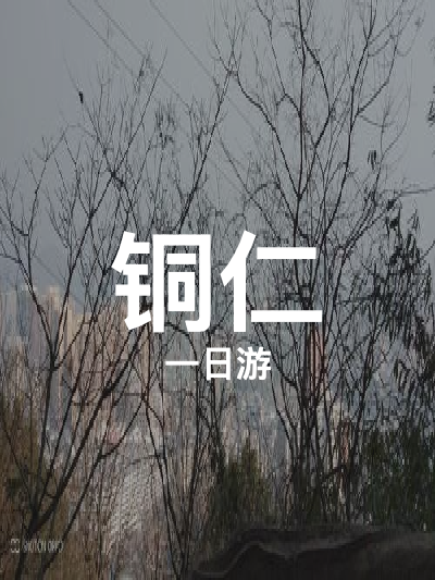 总览:铜仁一日游：苗侗风情与古城探秘之旅