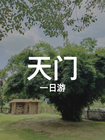 总览:《天门一日游：探秘长寿山原村，漫步汉江大桥，品味陆羽文化》