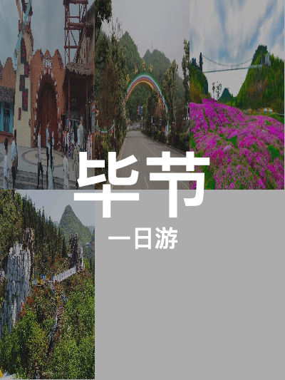 总览:毕节一日游：羊驼小镇与百里杜鹃双景探秘