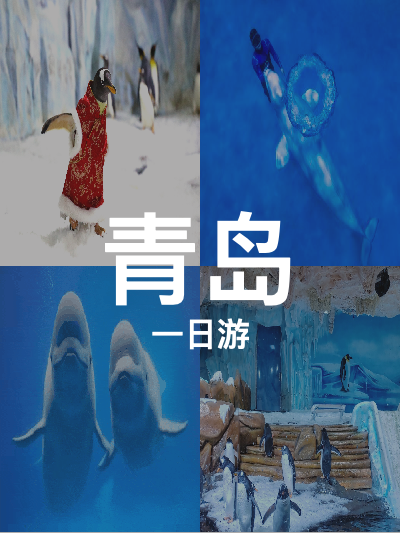 总览:青岛一日游：畅游石老人海水浴场与梦幻王国