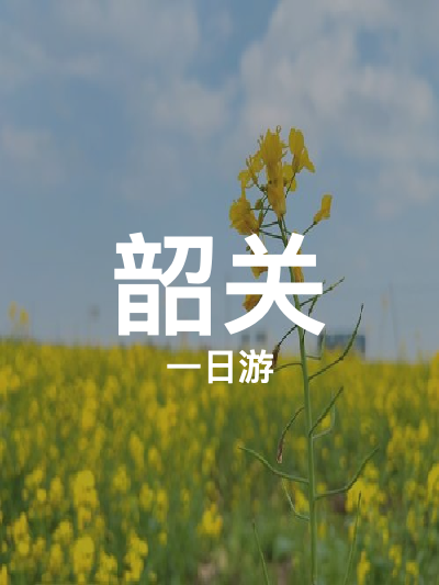 总览:韶关一日游：千亩油菜花与水口龙舟的浪漫邂逅