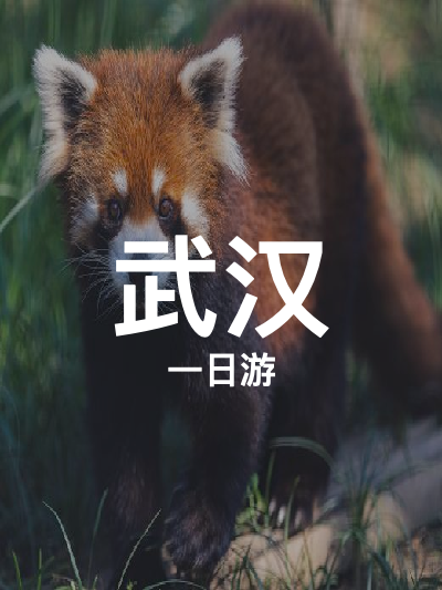 总览:武汉一日游：探秘科技与自然之美