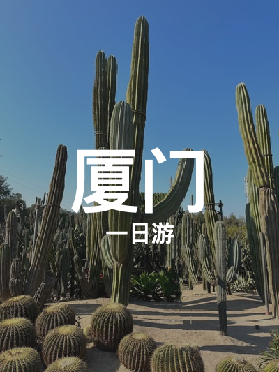 总览:厦门一日游：南普陀至鼓浪屿的文化与自然之旅