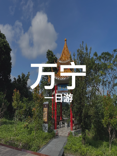 总览:万宁一日游：老街烧烤与热带花园之旅