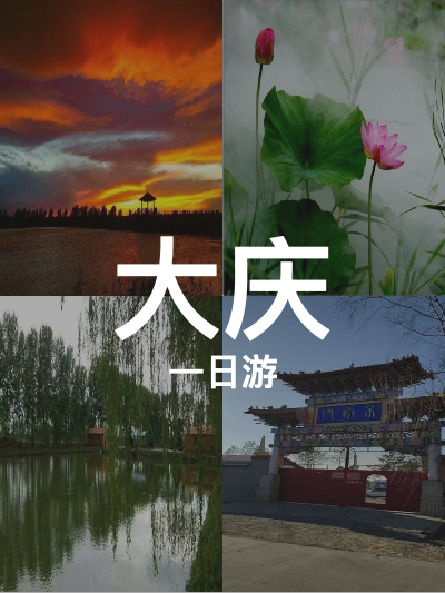 总览:**大庆一日游：湿地、古寺与博物馆之旅**